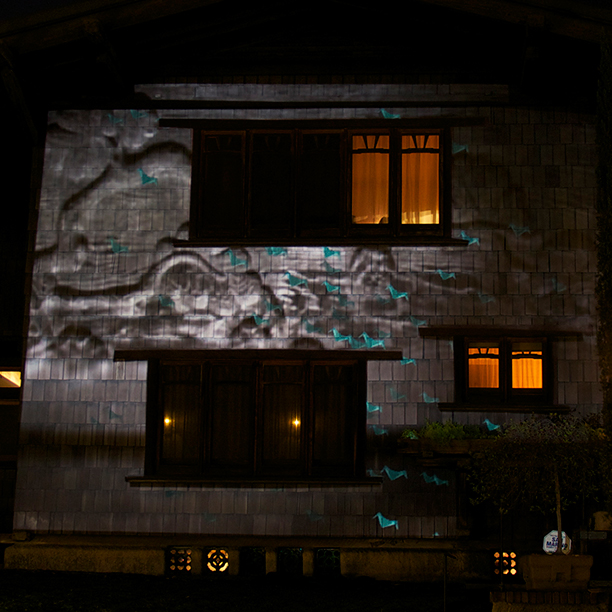 Projected Shadows - Generative Bats