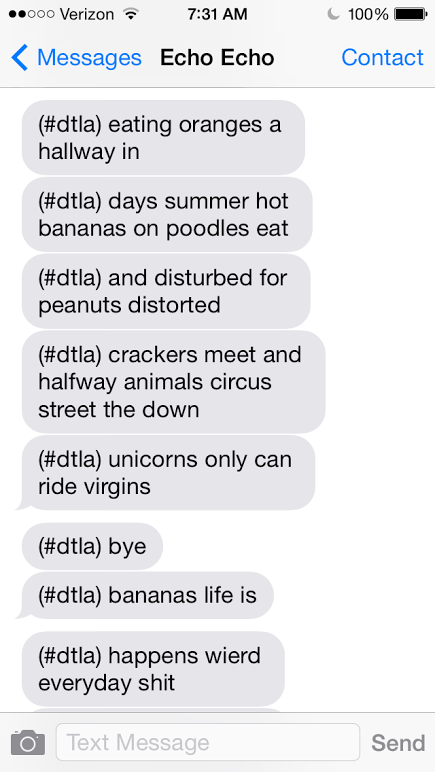 Echo Echo Bot :: Text Messages